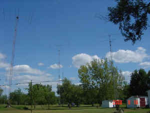 Picture 008.jpg (41536 bytes)